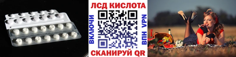 кракен как зайти  как найти наркотики  это Telegram  Лсд 25 экстази кислота  Гулькевичи 