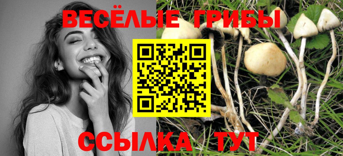 Псилоцибиновые грибы мицелий Гулькевичи