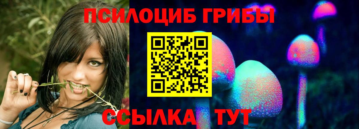 Псилоцибиновые грибы GOLDEN TEACHER  закладка  Псилоцибиновые грибы мухоморы  Гулькевичи  Вход с VPN 